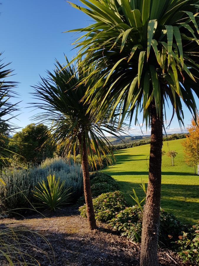 Murchison View Studio Te Anau Dış mekan fotoğraf