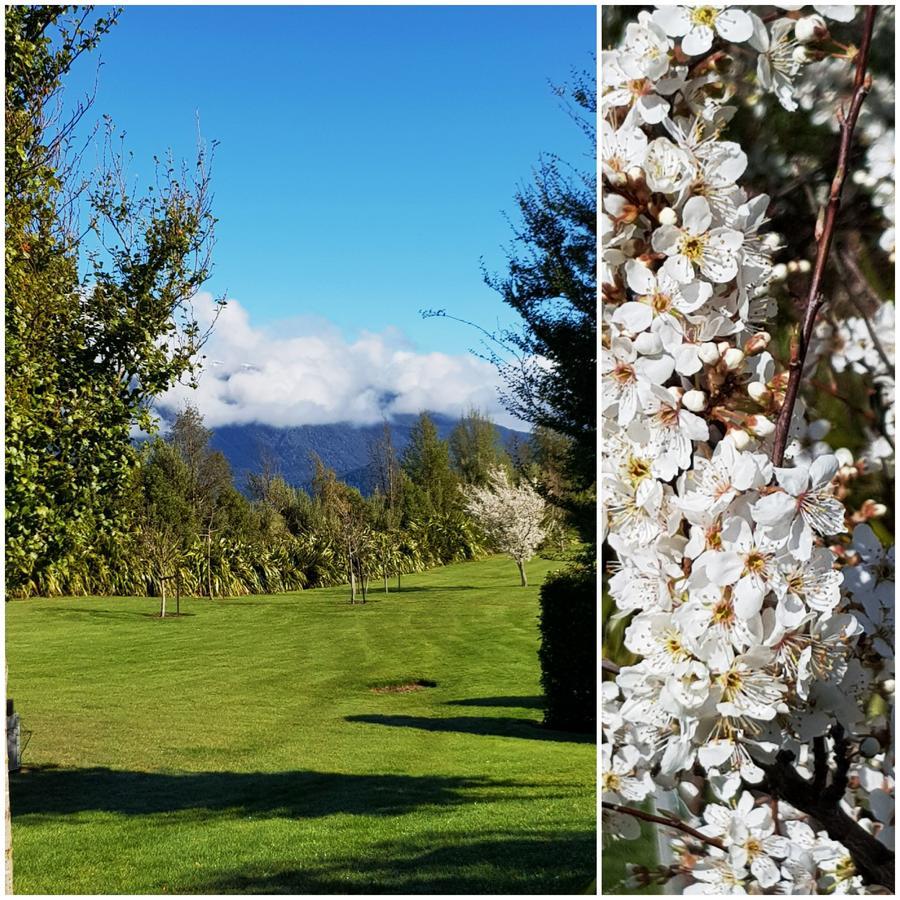 Murchison View Studio Te Anau Dış mekan fotoğraf